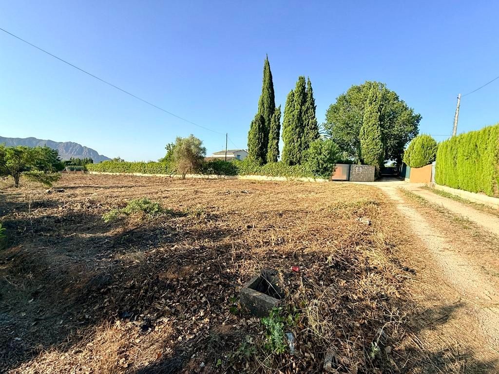 Imagen 3 de Parcela en Venta en Pedreguer Alicante