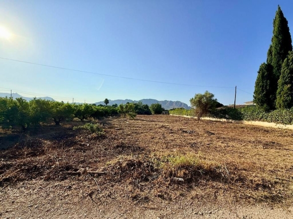 Imagen 4 de Parcela en Venta en Pedreguer Alicante