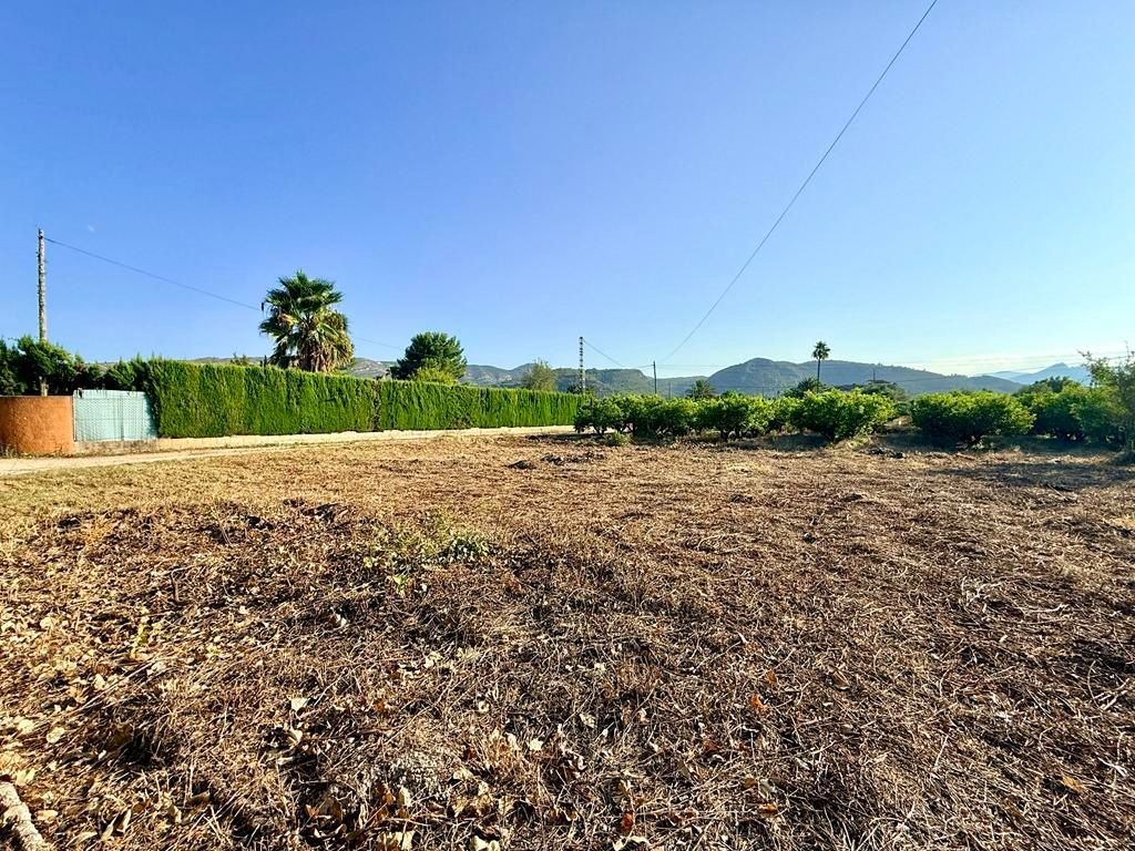 Imagen 1 de Parcela en Venta en Pedreguer Alicante