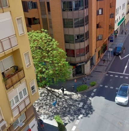 Imagen 4 de Piso en Venta en Alicante Alicante CENTRO