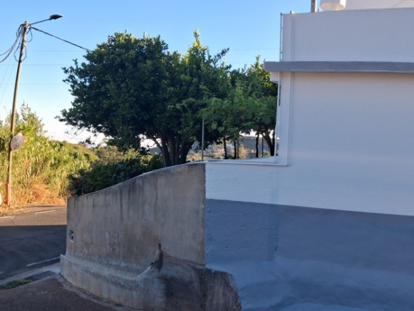 Imagen 4 de Casa-Chalet en Venta en Barranco Del Pinar (Santa Maria De Guia) Las Palmas