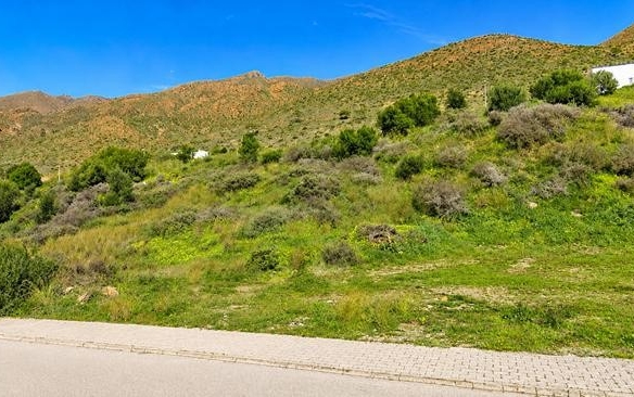 Imagen 1 de VENTA DE TERRENO INDUSTRIAL EDIFICABLE DE 300 M² EN P.I. LOS PEDREGALES