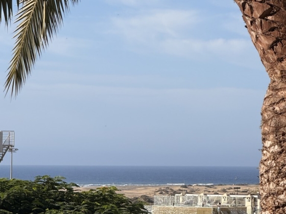 Imagen 1 de Apartamento en Alquiler en Playa Del Ingles Las Palmas