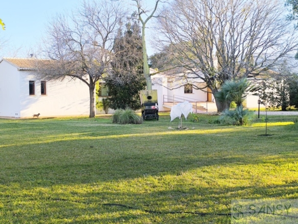Imagen 3 de Casa-Chalet en Venta en Ondara Valencia