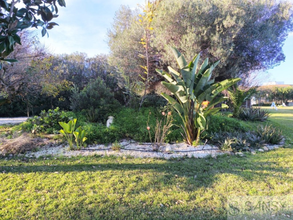 Imagen 4 de Casa-Chalet en Venta en Ondara Valencia