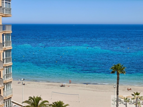 Imagen 1 de Apartamento en Venta en Alicante Alicante