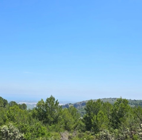 po-1274421-imagen - El Club del Propietario Imagen 1 de Suelo urbanizable en Venta en Alicante Alicante