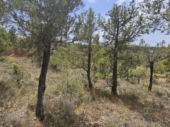 Imagen 4 de Solar residencial en Venta en Duruelo Segovia