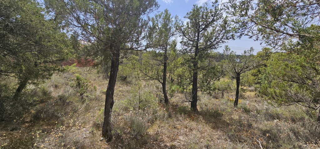 Imagen 4 de Solar residencial en Venta en Duruelo Segovia
