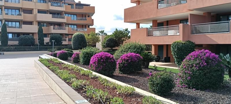 Imagen 2 de ESPECTACULAR PISO DE LUJO EN LA MARINA DE SOTOGRANDE. LARGA TEMPORADA
