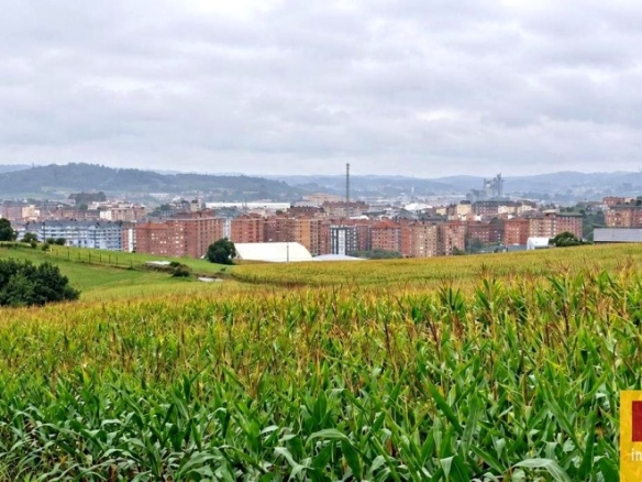 Imagen 3 de SUELOS RESIDENCIALES EN VENTA EN AVILÉS | LA LLEDA–MIRANDA