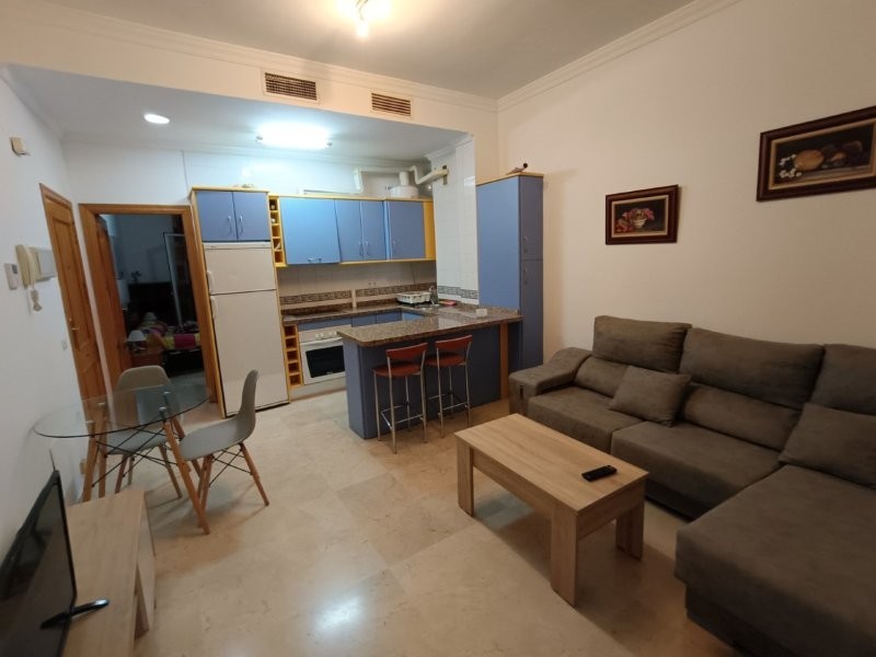 Imagen 1 de COQUETO APARTAMENTO EN ZONA MUY DEMANDADA EN ALQUILER