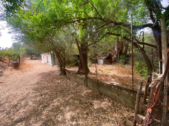 Imagen 2 de Finca rústica de 4 hectáreas con vivienda y varias construcciones