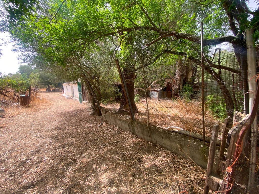 Imagen 2 de Finca rústica de 4 hectáreas con vivienda y varias construcciones