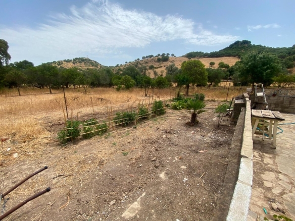 Imagen 3 de Finca rústica de 4 hectáreas con vivienda y varias construcciones