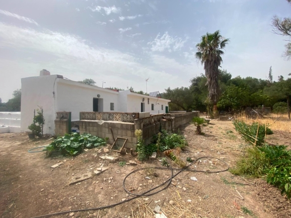 Imagen 4 de Finca rústica de 4 hectáreas con vivienda y varias construcciones
