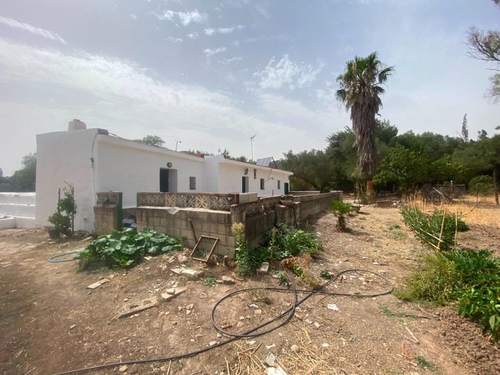 Imagen 4 de Finca rústica de 4 hectáreas con vivienda y varias construcciones
