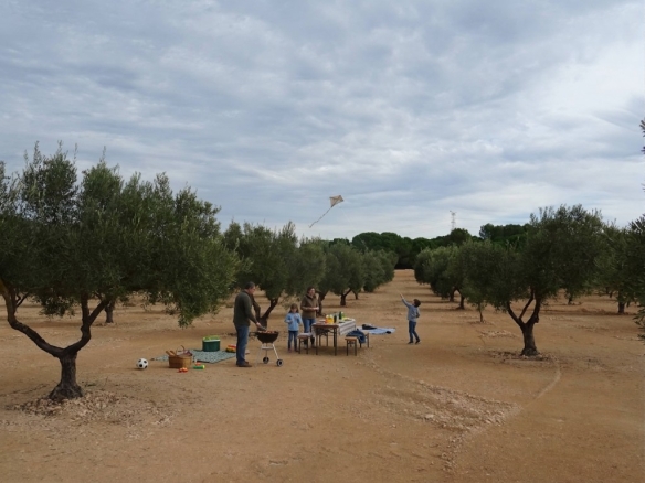 Imagen 2 de Suelo rústico en Venta en Biar Alicante