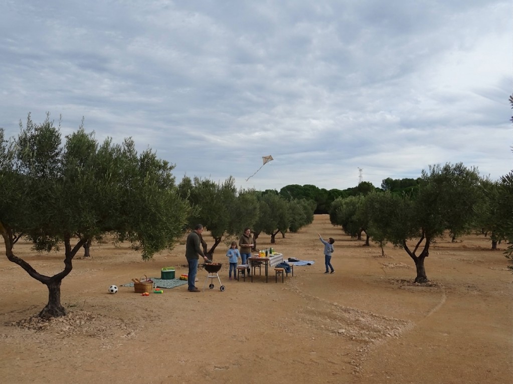 Imagen 2 de Suelo rústico en Venta en Biar Alicante