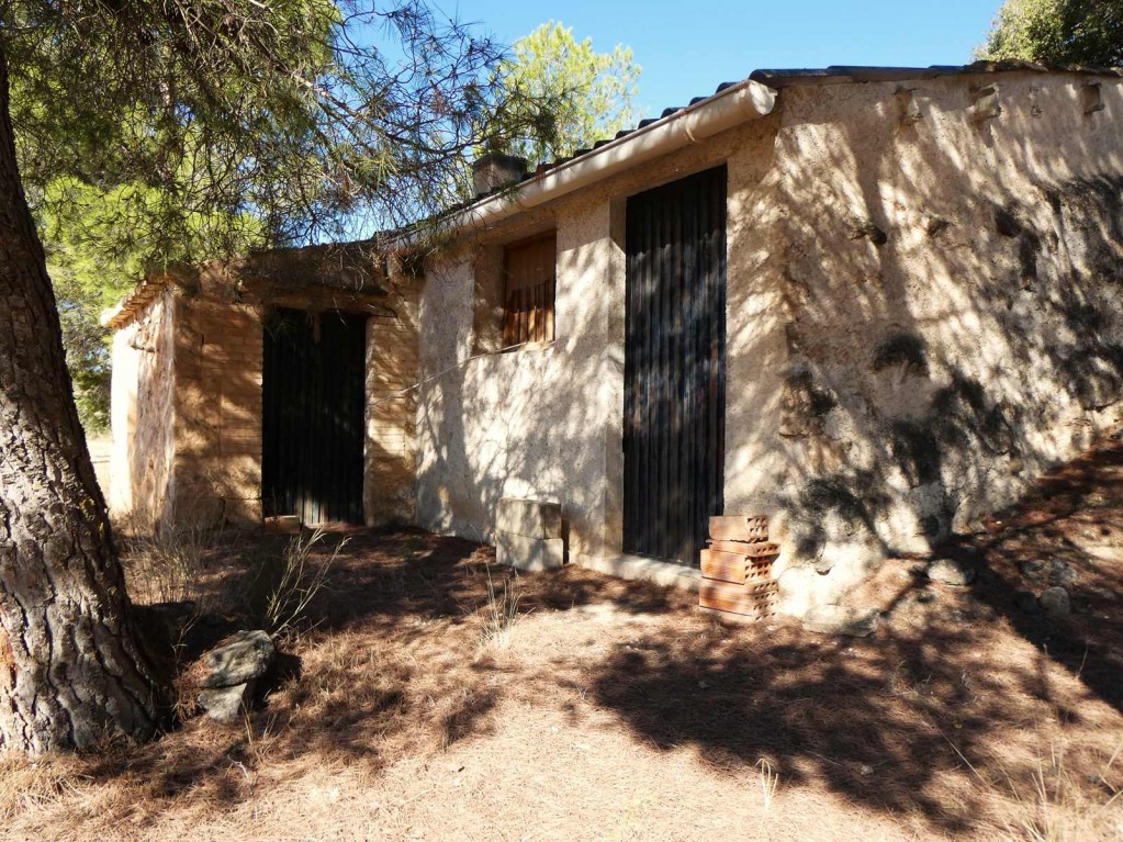 Imagen 1 de Suelo rústico en Venta en Maella Zaragoza