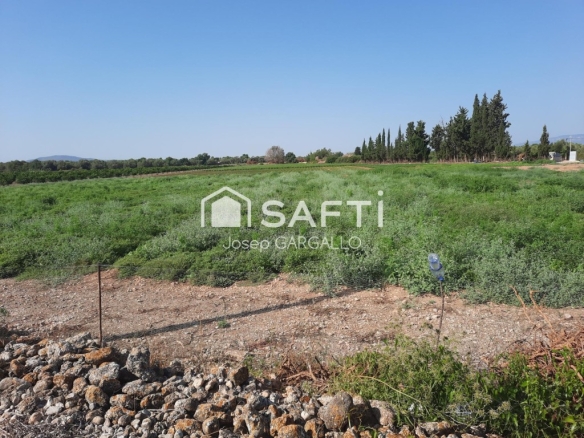 Imagen 4 de Finca rústica con pozo propio en Santa Bàrbara