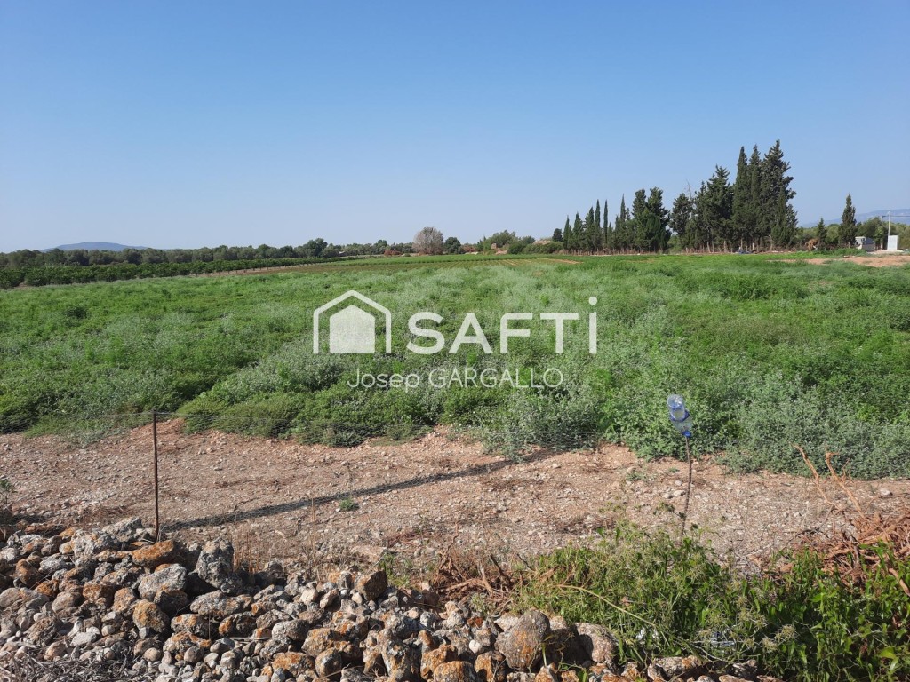 Imagen 4 de Finca rústica con pozo propio en Santa Bàrbara