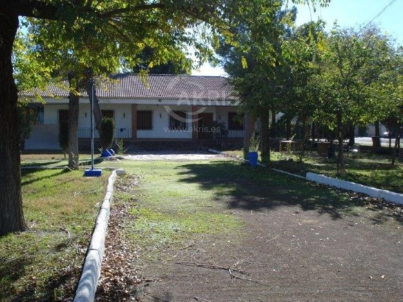 Imagen 4 de Chalet Independiente en Almagro