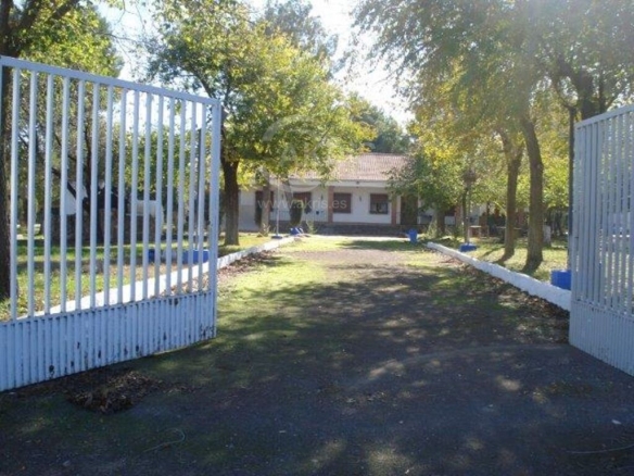 Imagen 1 de Chalet Independiente en Almagro