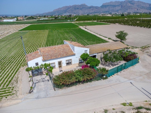 Imagen 2 de Finca con vivienda para reformar y 12.689 m² de terreno en Huerta de Desamparados