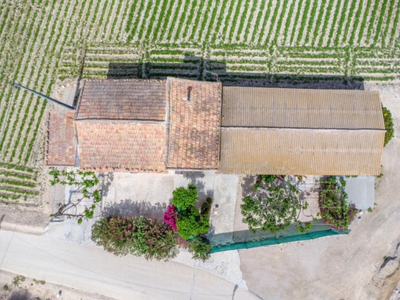 Imagen 4 de Finca con vivienda para reformar y 12.689 m² de terreno en Huerta de Desamparados