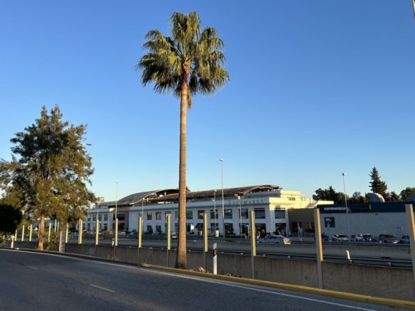 Imagen 1 de Local comercial en Alquiler en Sotogrande Cádiz