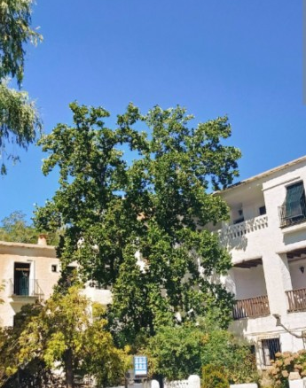 Imagen 4 de Edificio singular en Venta en Mecina Fondales Granada