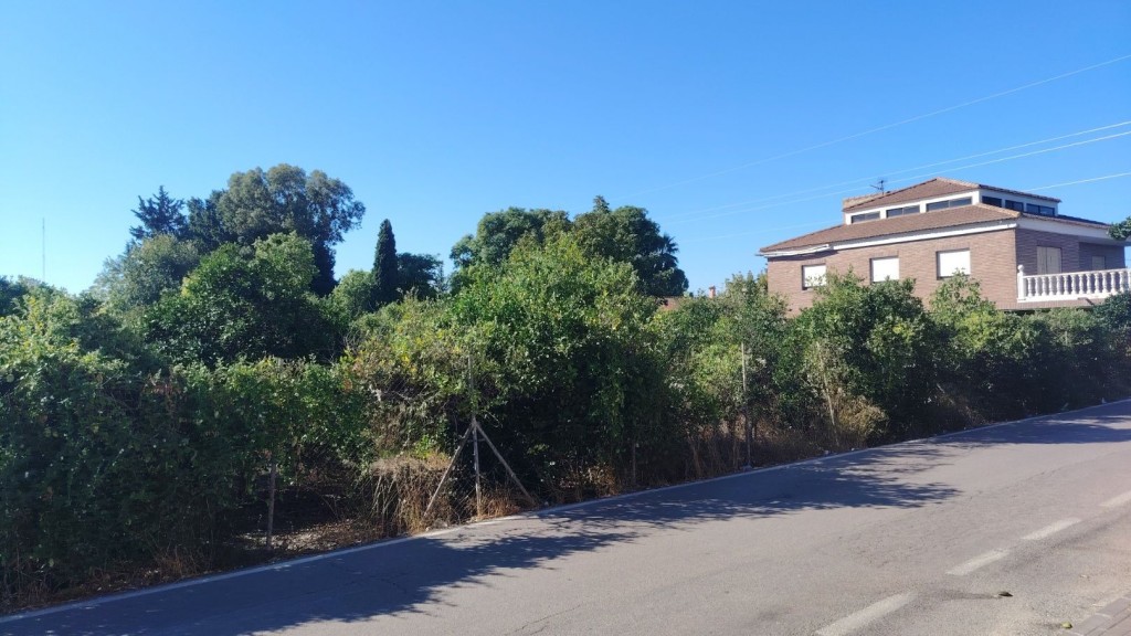 Imagen 3 de Parcela en Venta en Murcia Murcia
