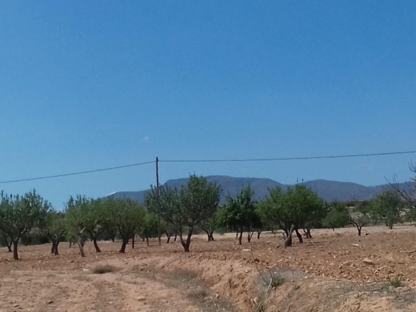 Los (Cuesta Blanca) Murcia