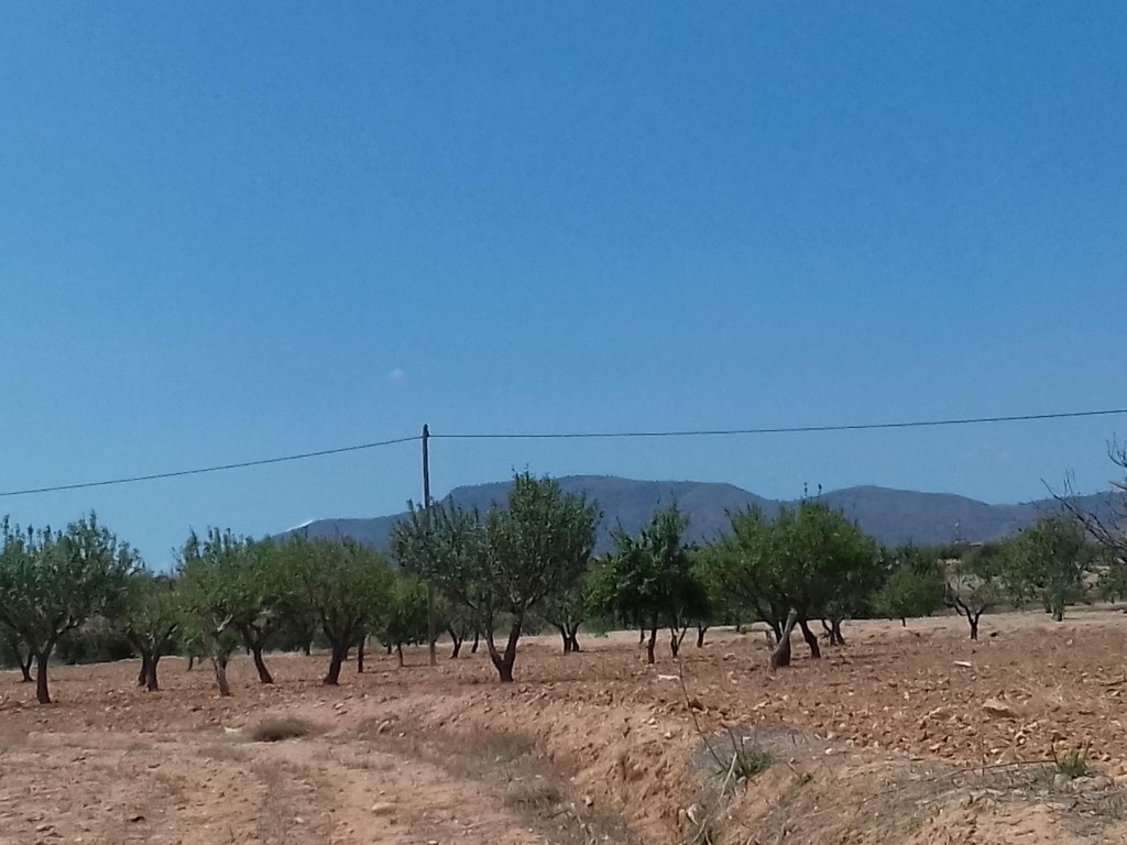 Los (Cuesta Blanca) Murcia