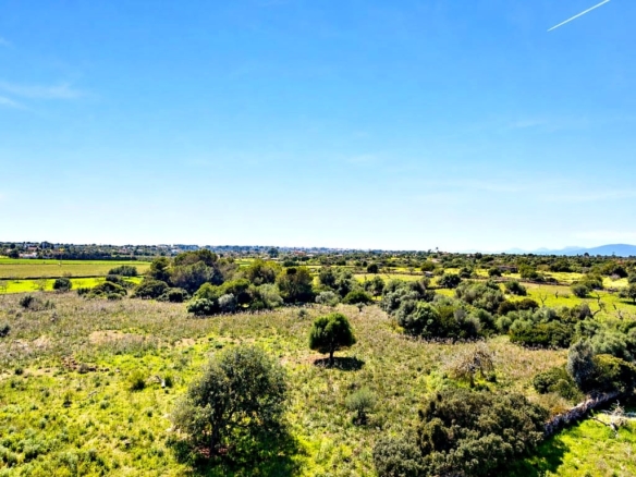 Imagen 4 de Solar residencial en Venta en Manacor Baleares