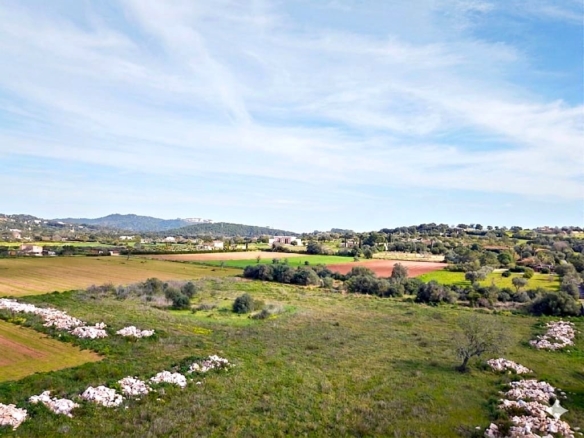 Imagen 2 de Solar residencial en Venta en Felanitx Baleares