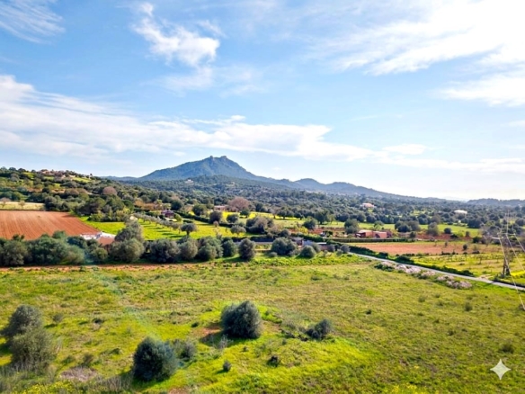Imagen 3 de Solar residencial en Venta en Felanitx Baleares