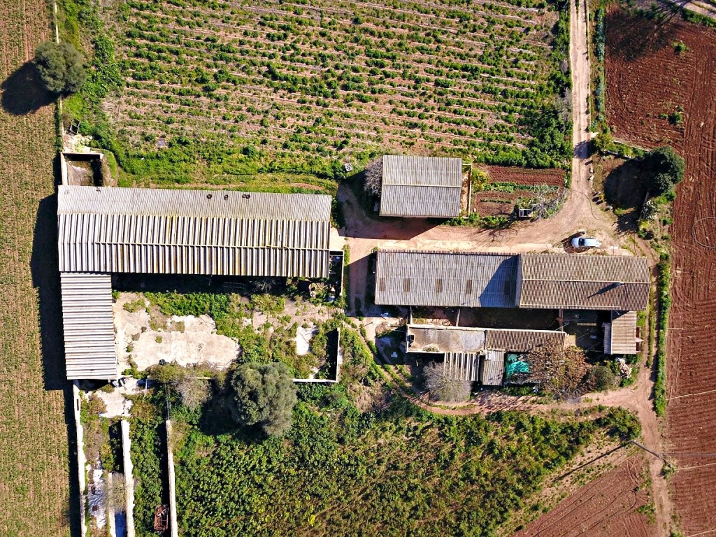 Imagen 2 de Casa de campo-Masía en Venta en Manacor Baleares