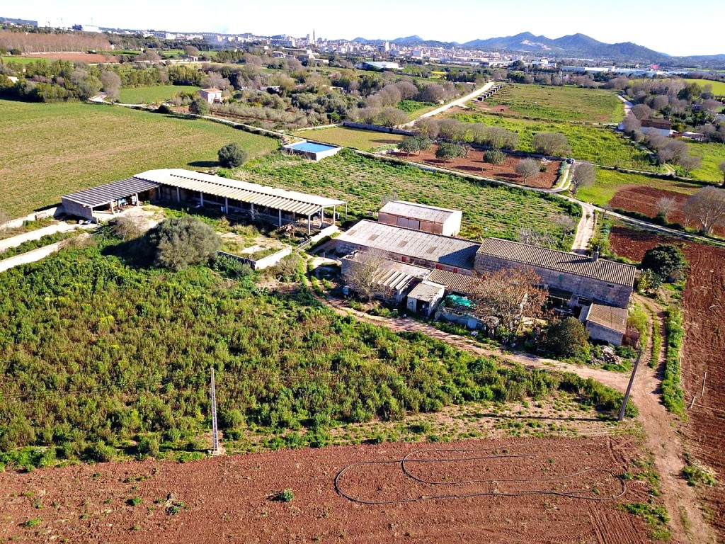 Imagen 3 de Casa de campo-Masía en Venta en Manacor Baleares