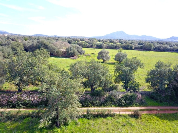 Imagen 2 de Solar residencial en Venta en Felanitx Baleares