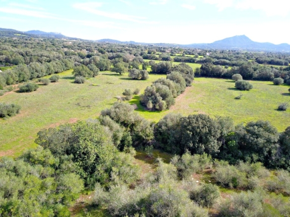 Imagen 3 de Solar residencial en Venta en Felanitx Baleares