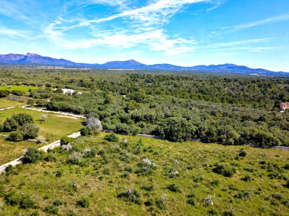 Imagen 2 de Solar residencial en Venta en Santa Margalida Baleares