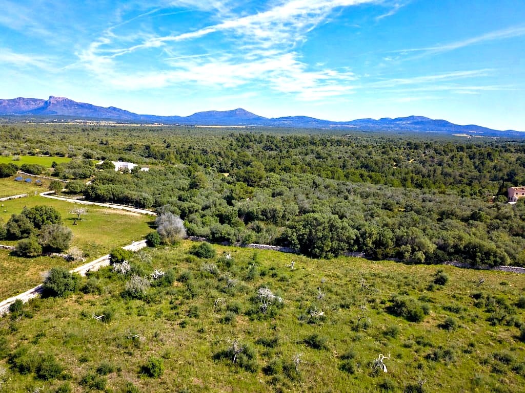 Imagen 2 de Solar residencial en Venta en Santa Margalida Baleares