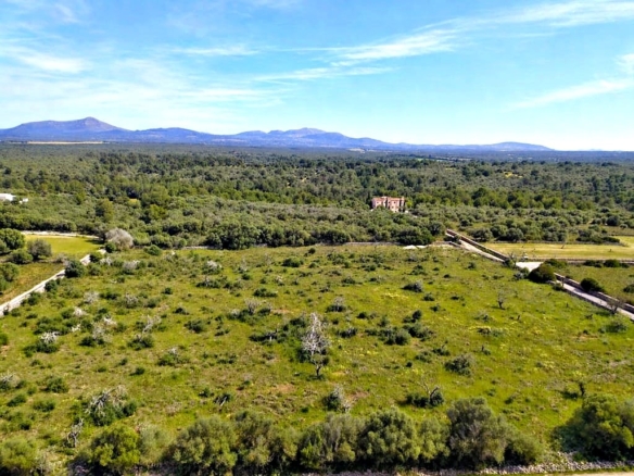 Imagen 3 de Solar residencial en Venta en Santa Margalida Baleares