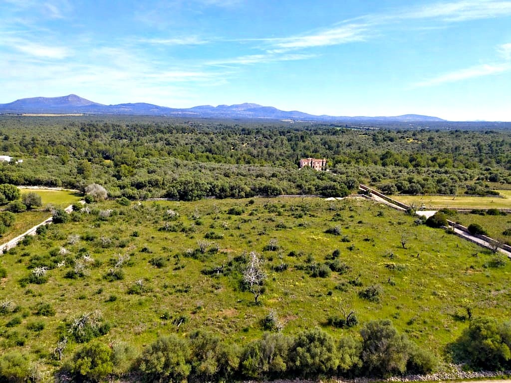 Imagen 3 de Solar residencial en Venta en Santa Margalida Baleares