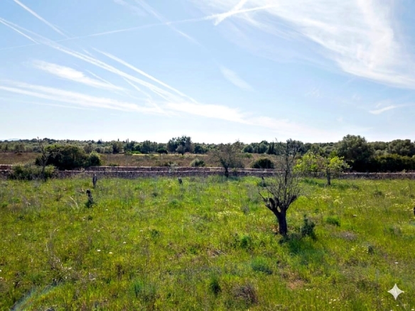 Imagen 4 de Solar residencial en Venta en Santa Margalida Baleares
