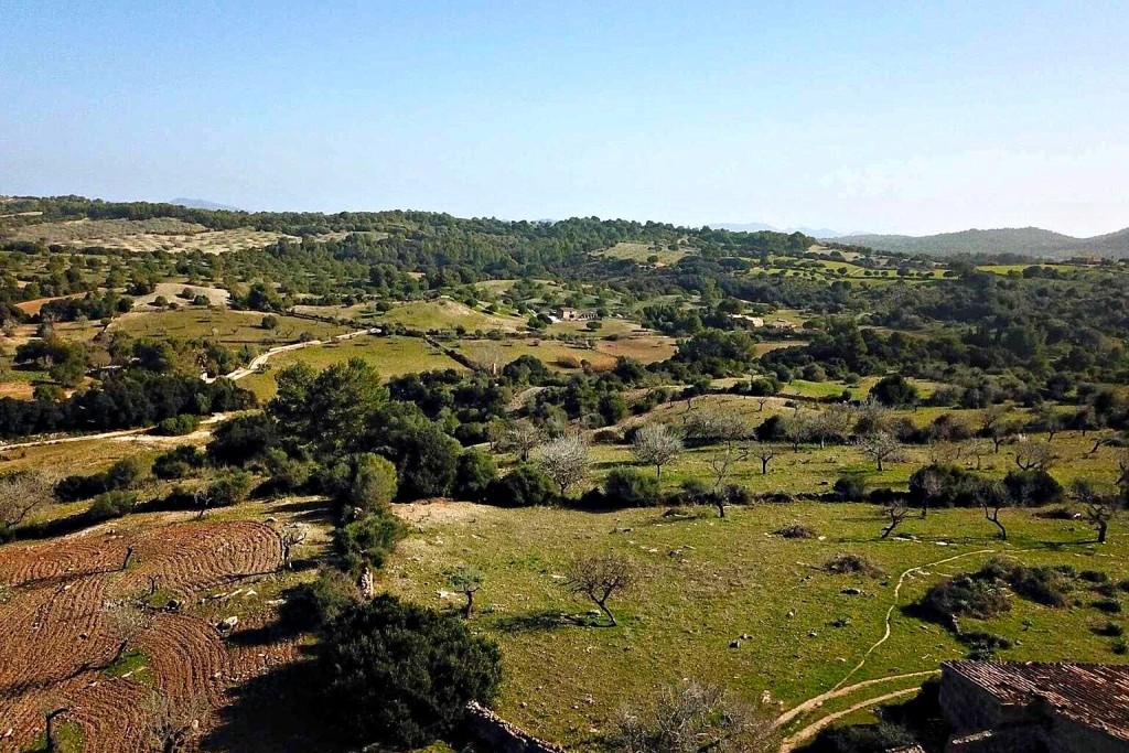 Imagen 3 de Casa de campo-Masía en Venta en Sant Llorenç Des Cardassar Baleares