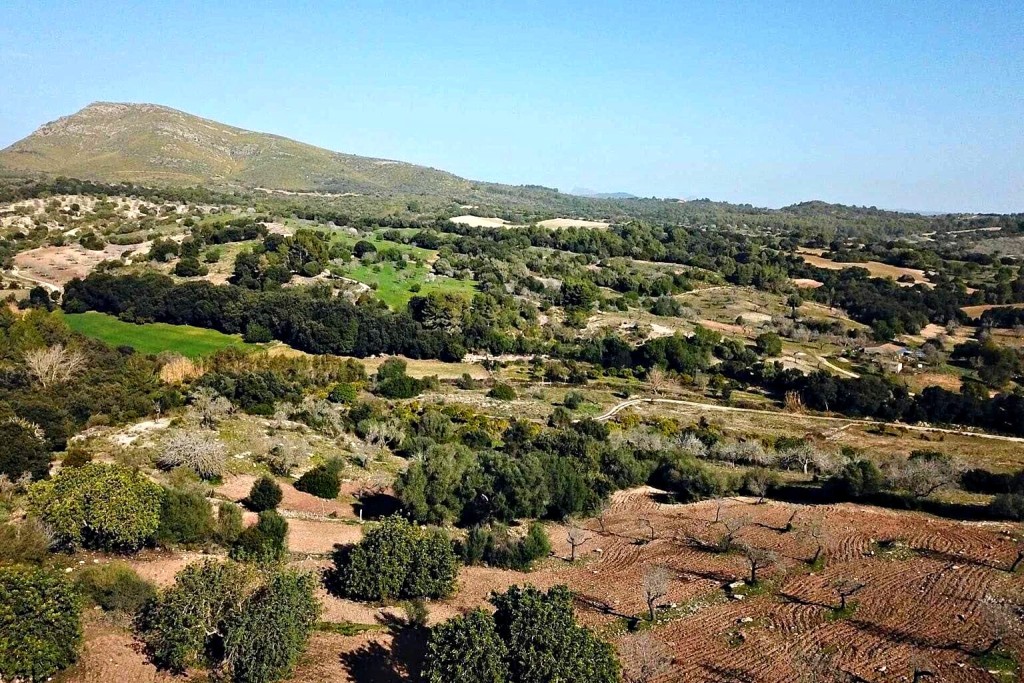 Imagen 4 de Casa de campo-Masía en Venta en Sant Llorenç Des Cardassar Baleares