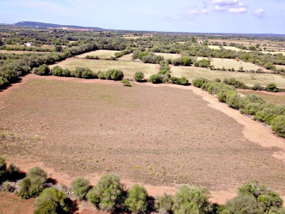 Imagen 4 de Solar residencial en Venta en Felanitx Baleares